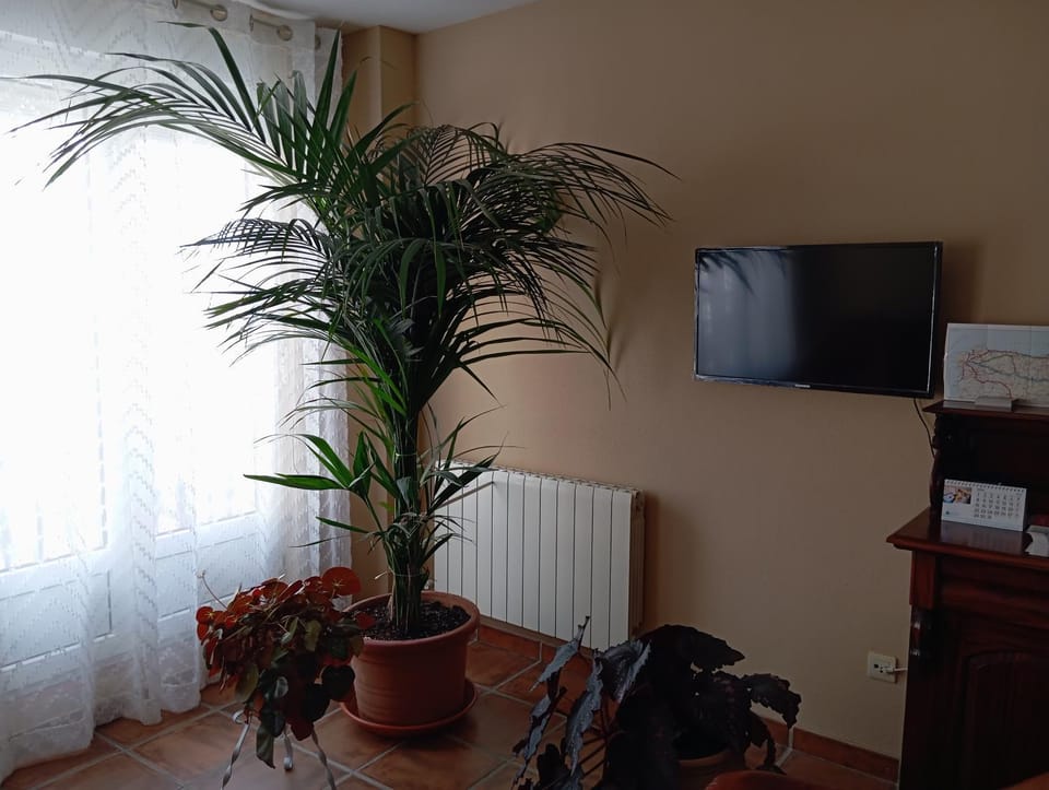 Hostal Santiago Bed and Breakfast in Castile and León