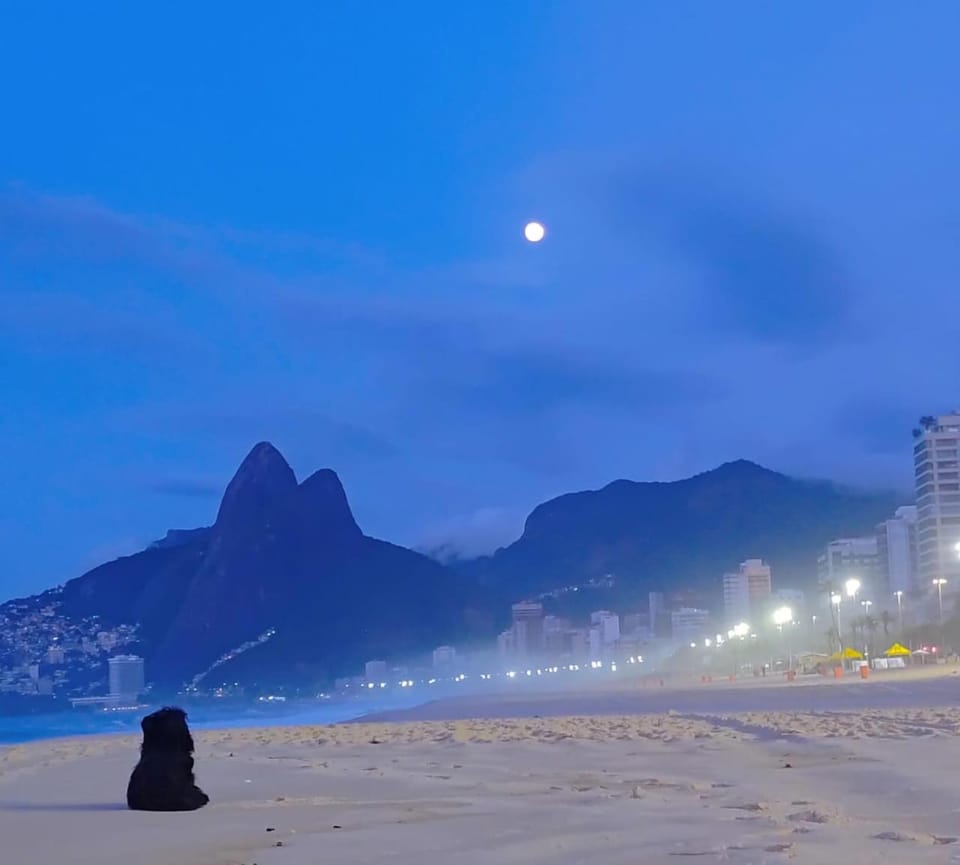 Linda cobertura ipanema quadra da praia c sauna e 2 suites Apartment in Rio de Janeiro