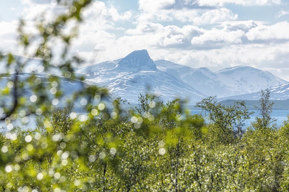 Day, Natural landscape, Summer, View (from property/room), Mountain view