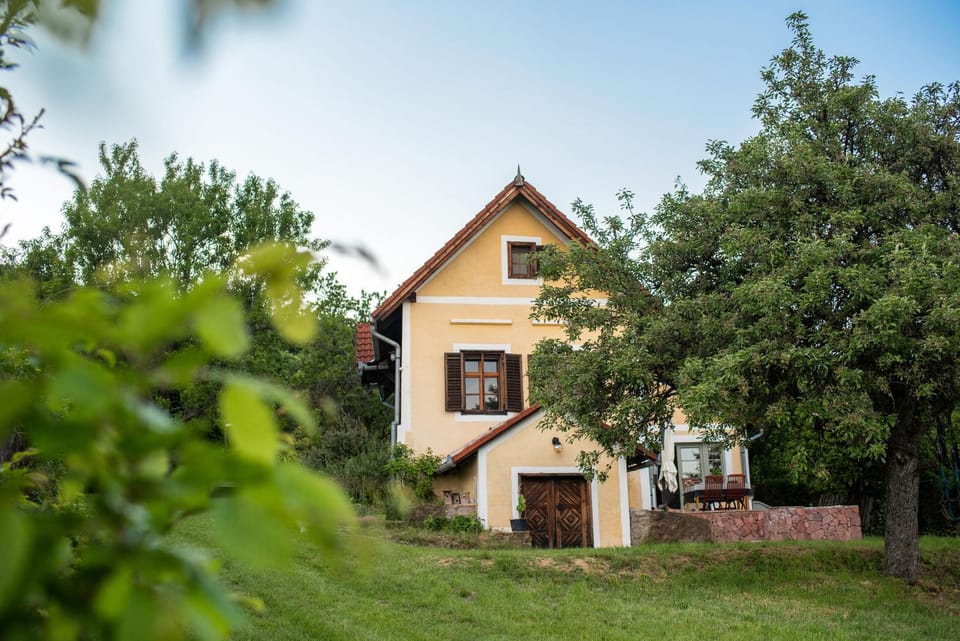Property building, Natural landscape, Garden view