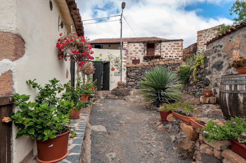 Patio, Garden, Garden view