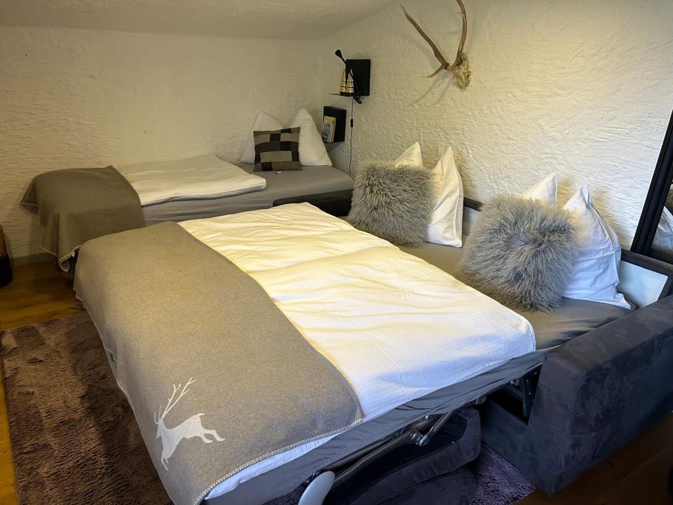 Bed, Photo of the whole room