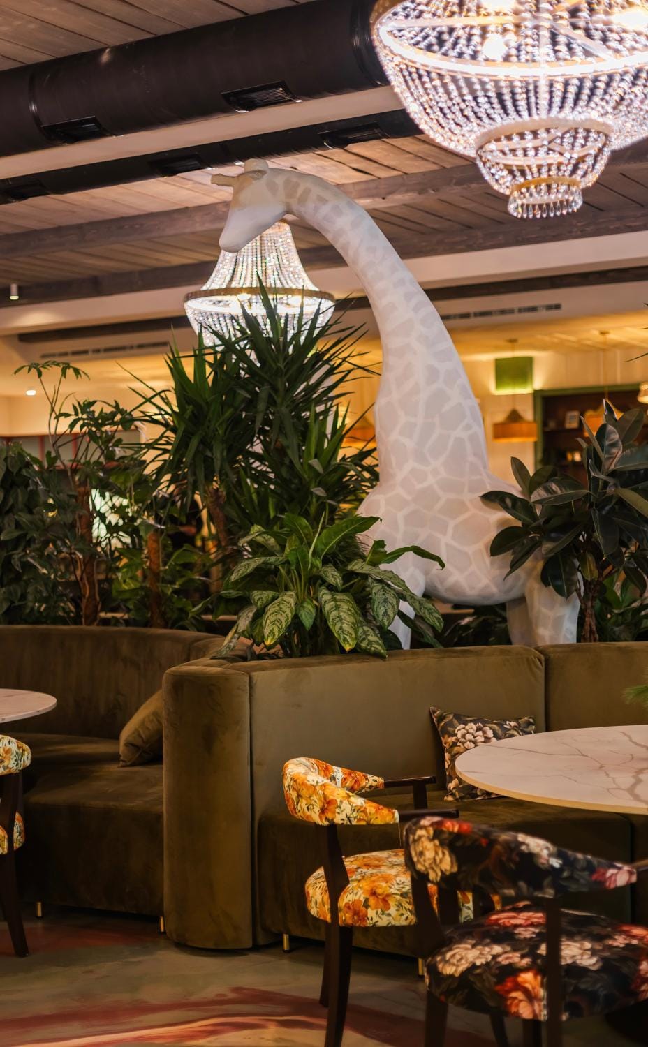 Restaurant/places to eat