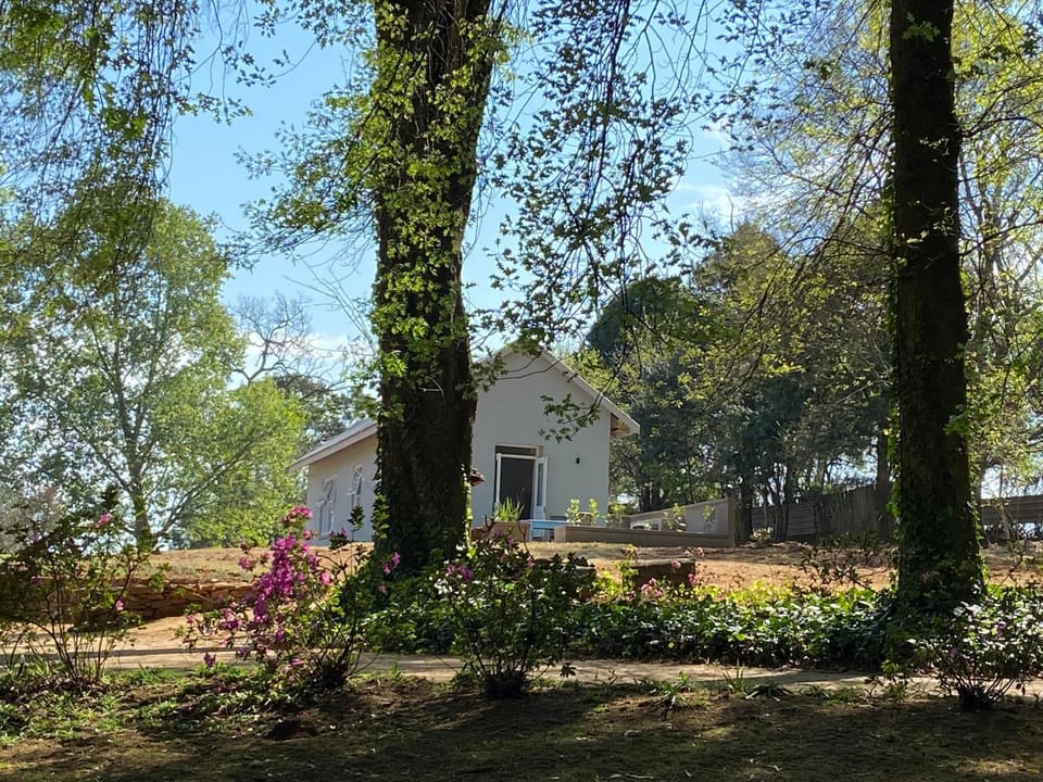 Property building, Garden, View (from property/room)