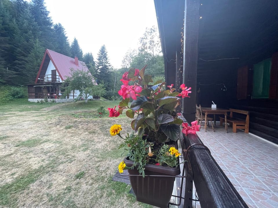 Cottage in the wild Pješčanica House in Montenegro