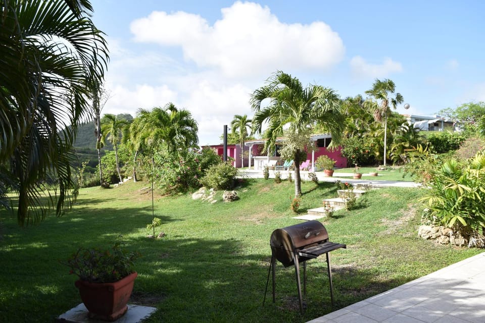 Garden, Garden view