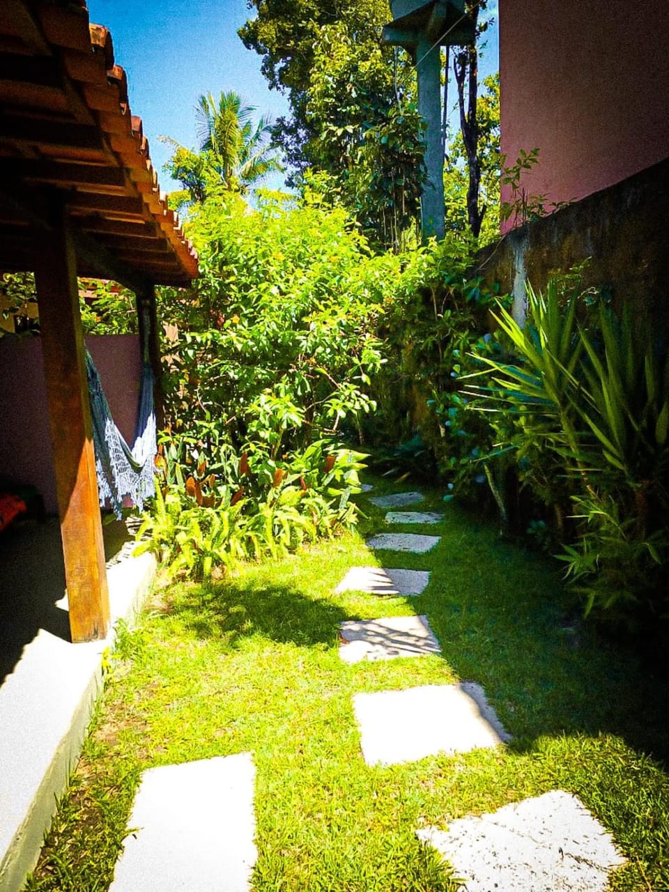 Garden view