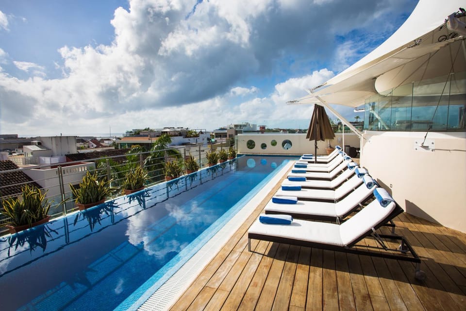 Swimming pool, Swimming pool