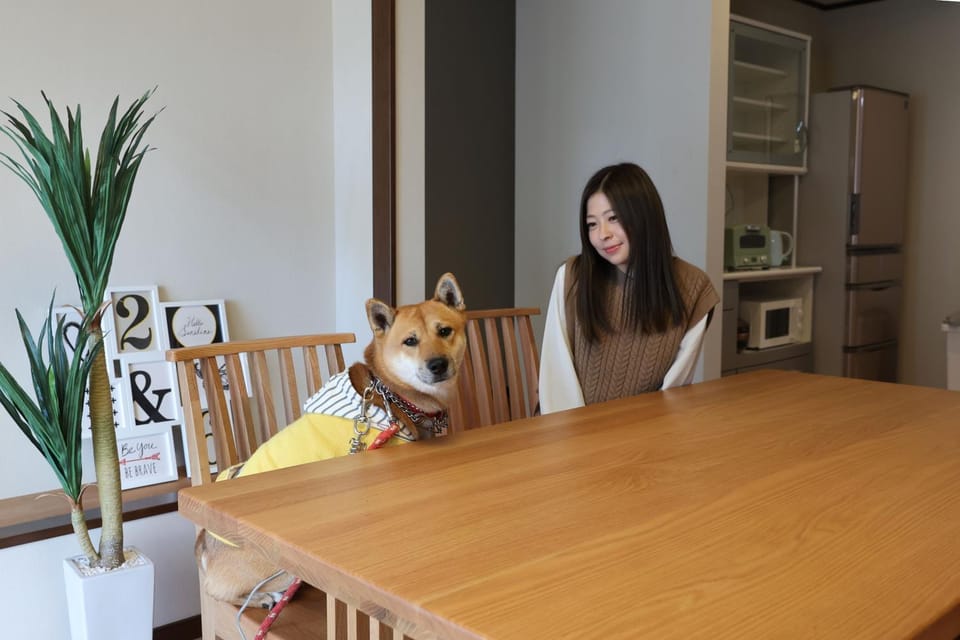 People, Dining area, Pets, group of guests, hair dresser