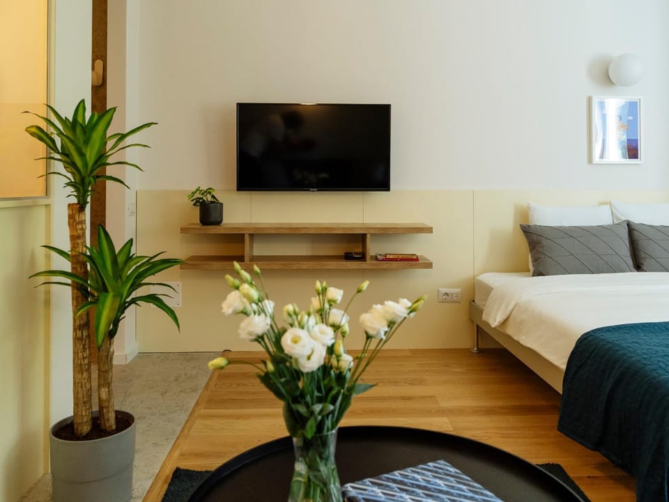 TV and multimedia