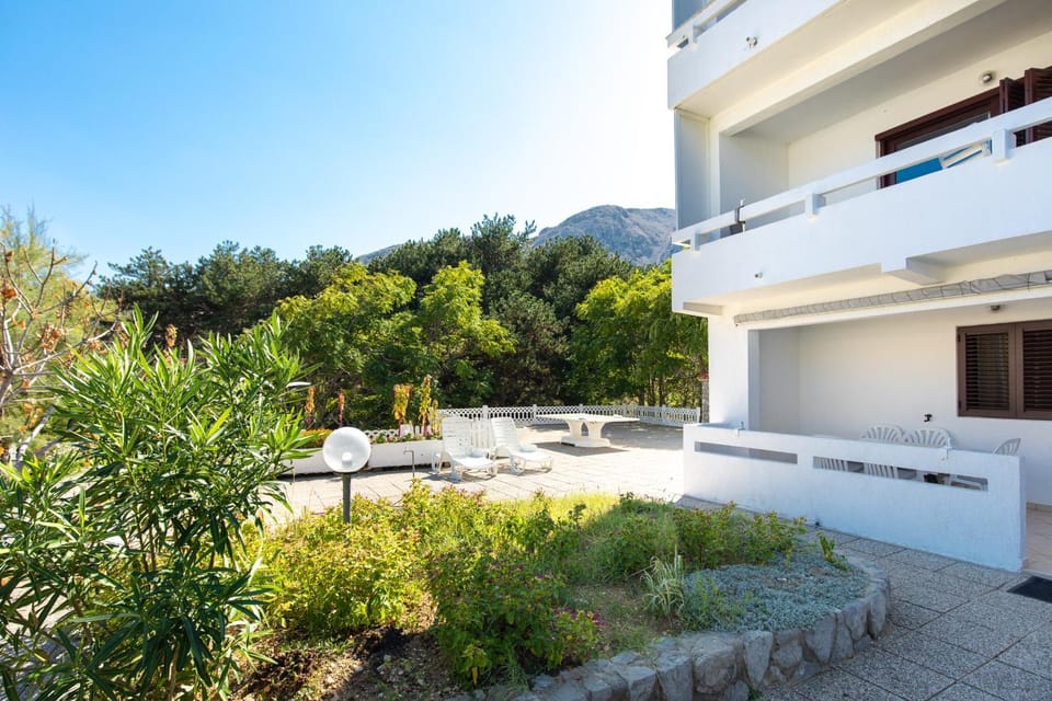 Patio, Spring, Day, Garden, Garden view