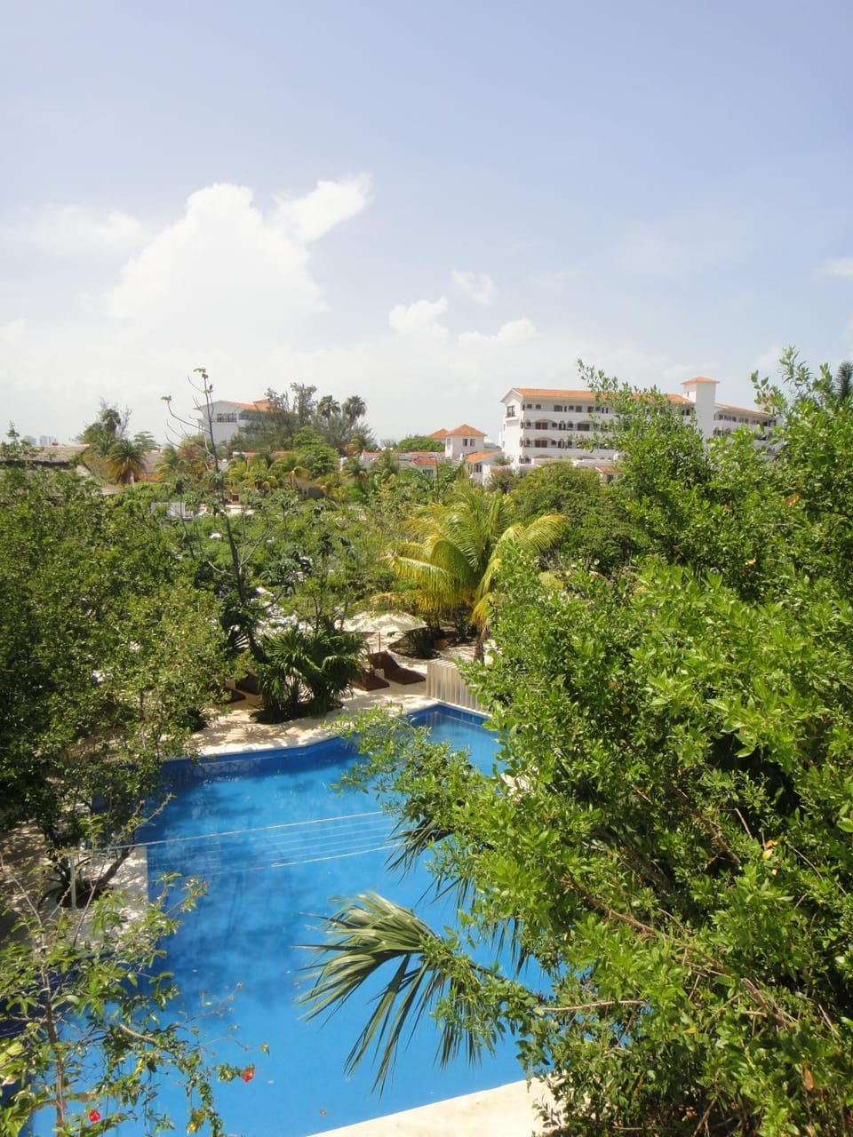 Bird's eye view, Swimming pool