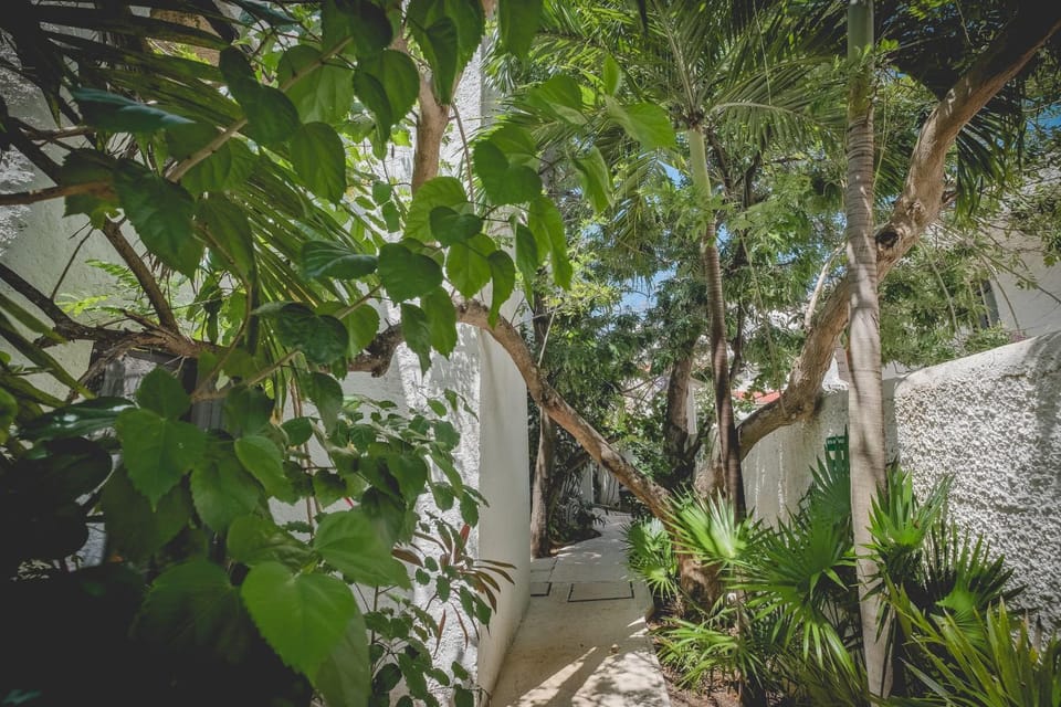 Garden view