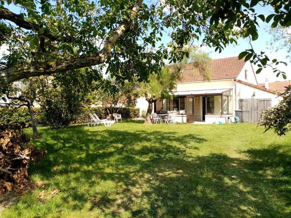 Garden, Inner courtyard view