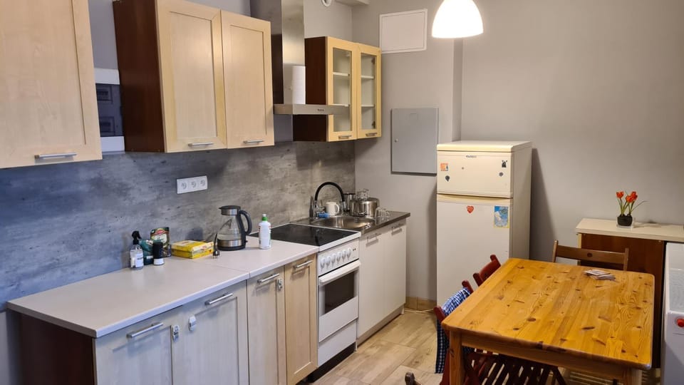 Kitchen or kitchenette, minibar, pet friendly, stove