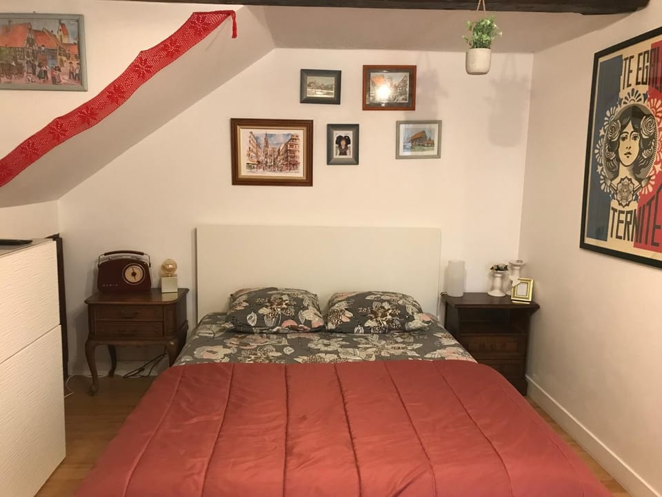 La Casetta en ALSACE Apartment in Strasbourg
