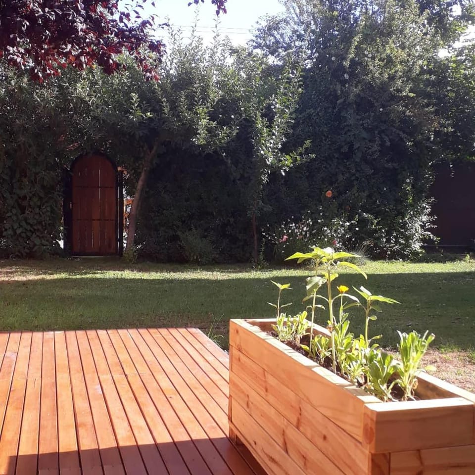 Patio, Garden