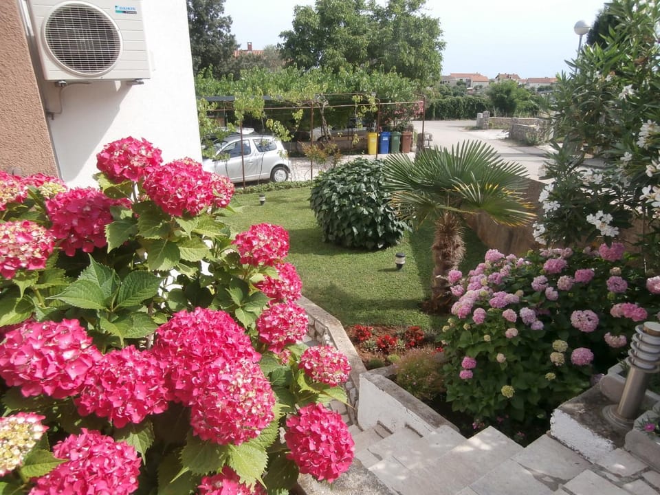 Garden, Garden view