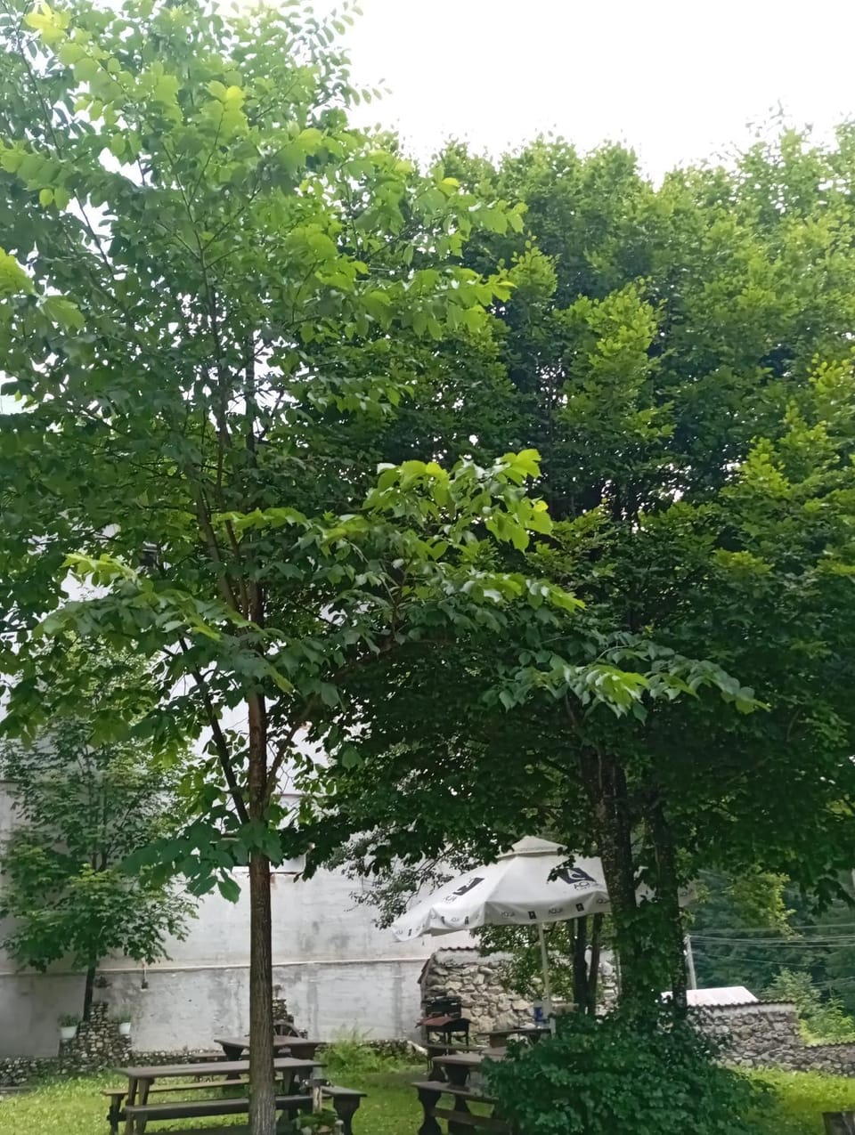 Garden, Garden view