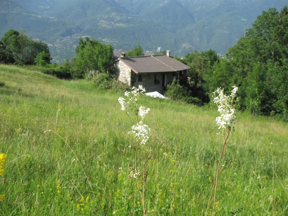 B&B Baita Evelina Bed and Breakfast in Piedmont