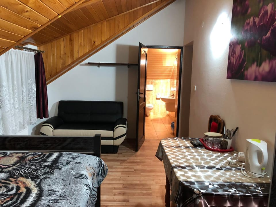 Agata Vacation rental in Poland