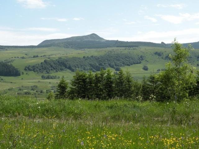 Mountain view