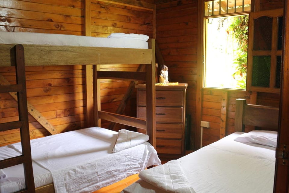 Bedroom, bunk bed