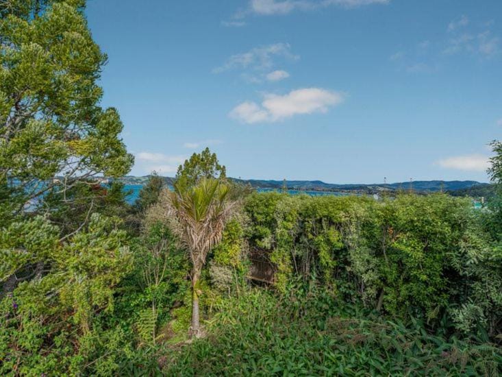 Hosts on the Coast Puriri Pride House in Whitianga