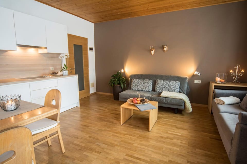 Living room, kitchen