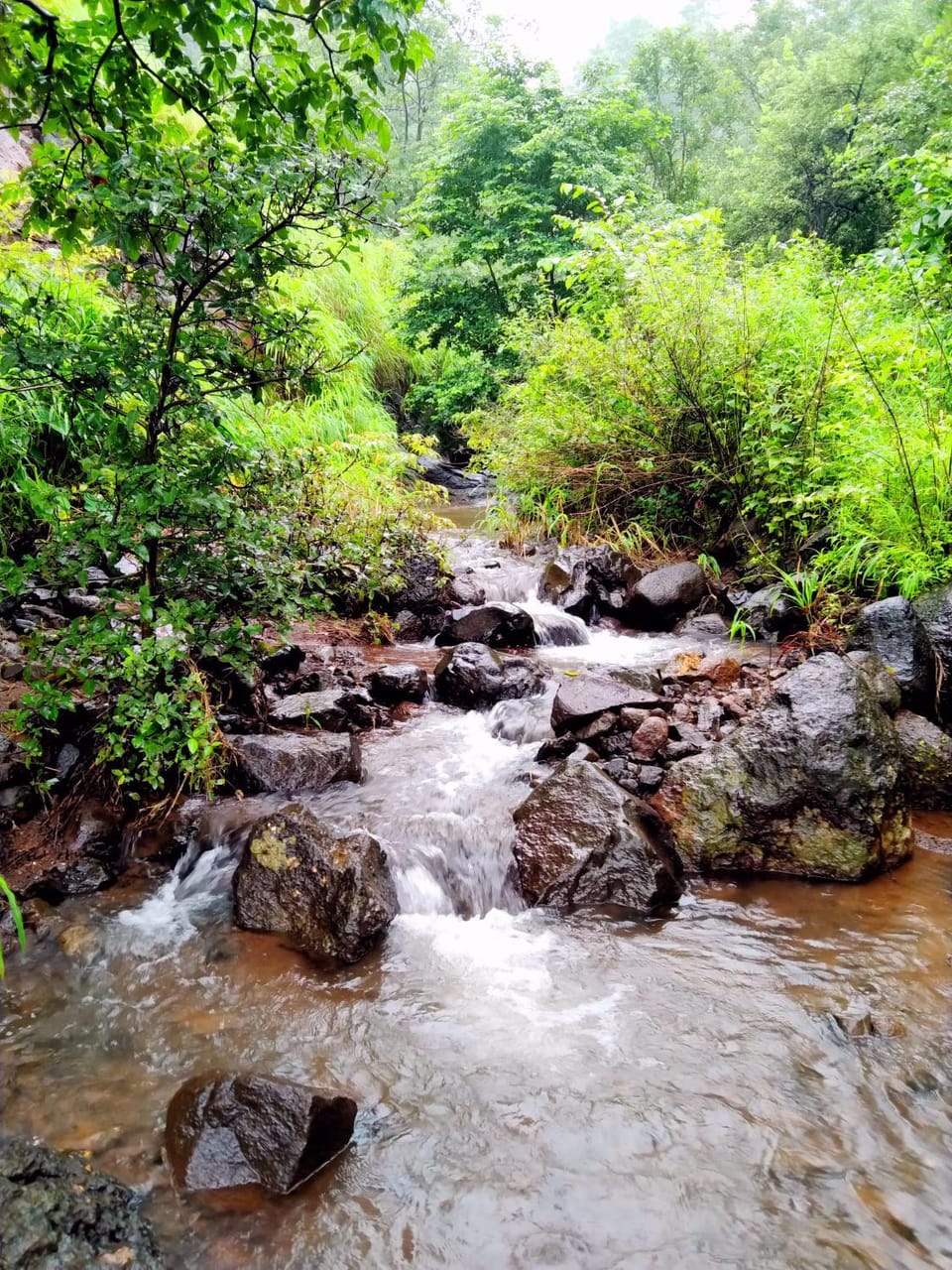 Weekend Villa at Nature's Lap (Malshej Ghat) Villa in Maharashtra