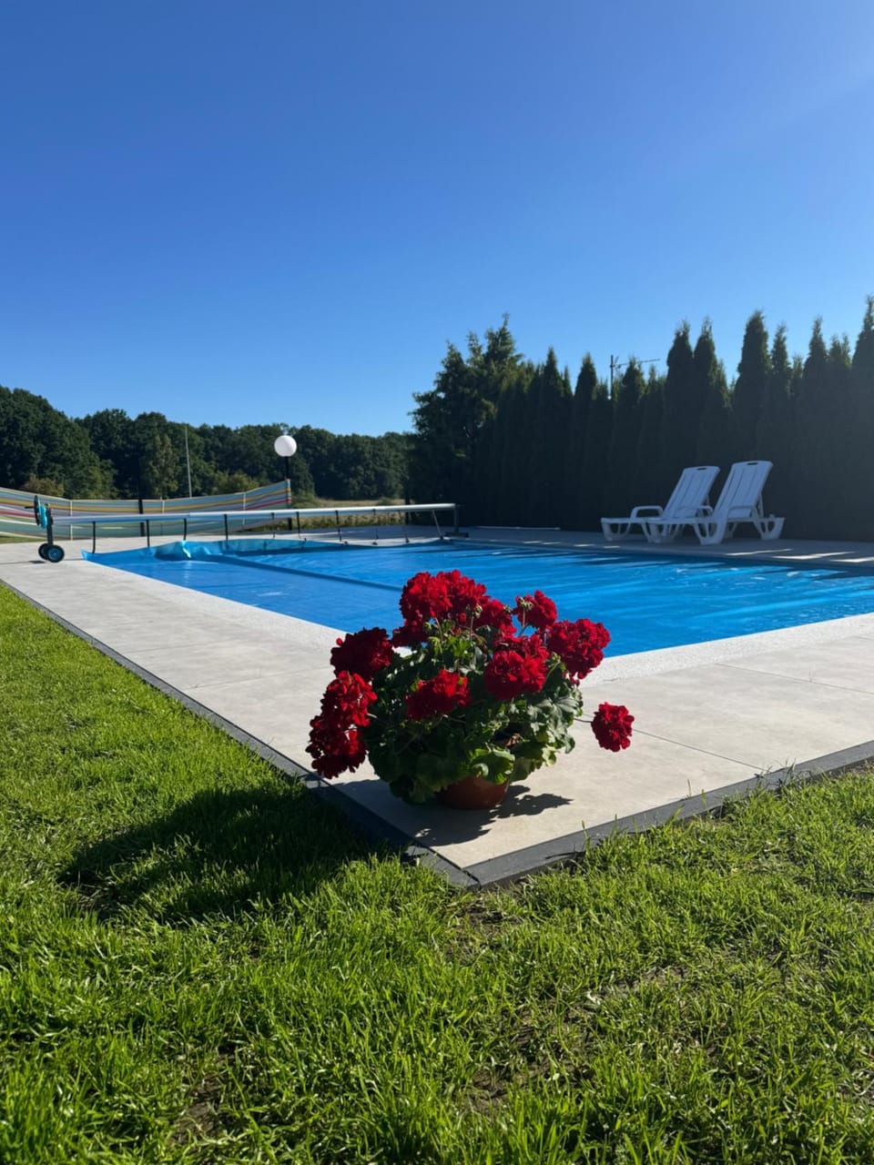 Garden, Garden view, Pool view, Swimming pool