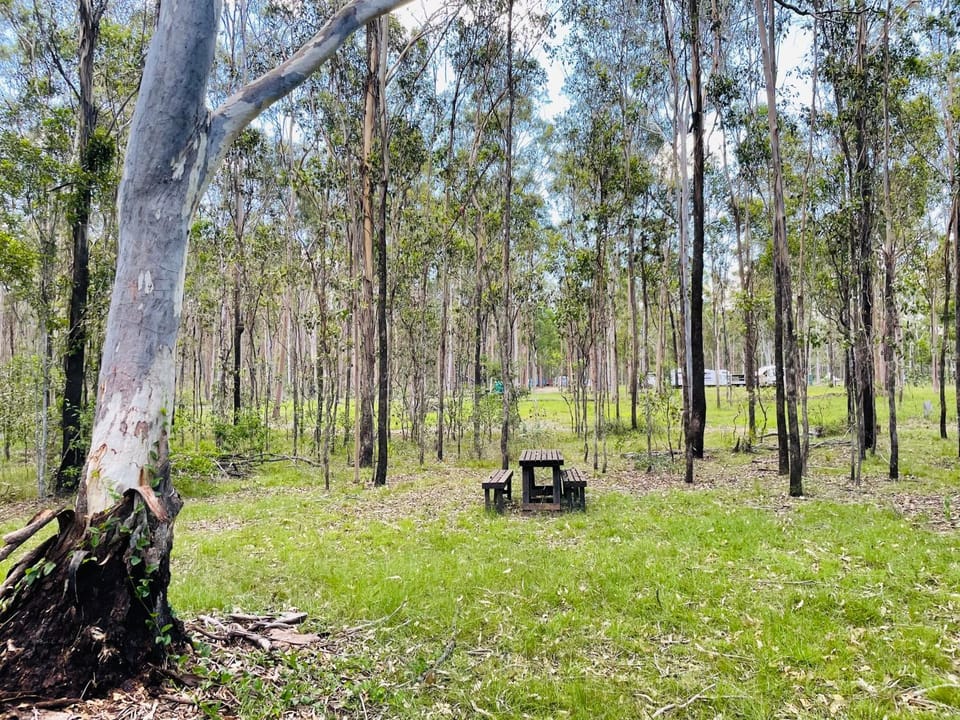 Childers Nature Camp Campground/ 
RV Resort in Queensland