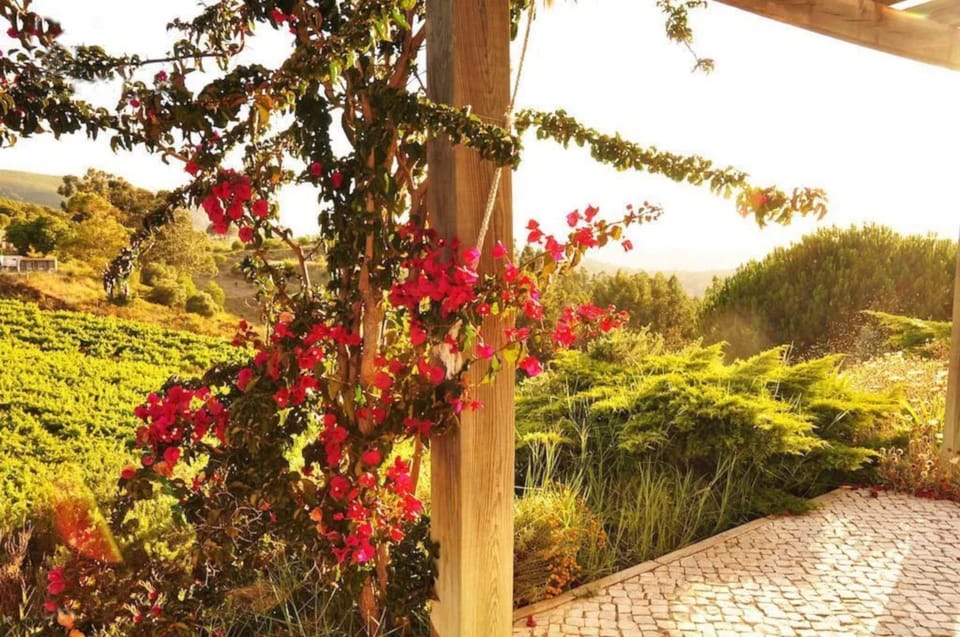 Balcony/Terrace, Garden view, Mountain view