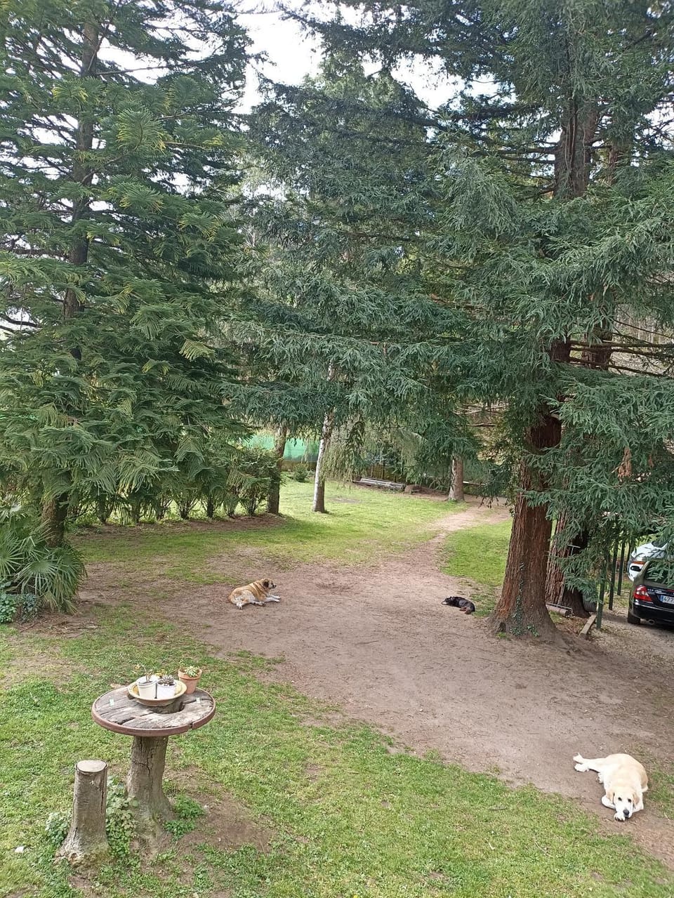 Garden view