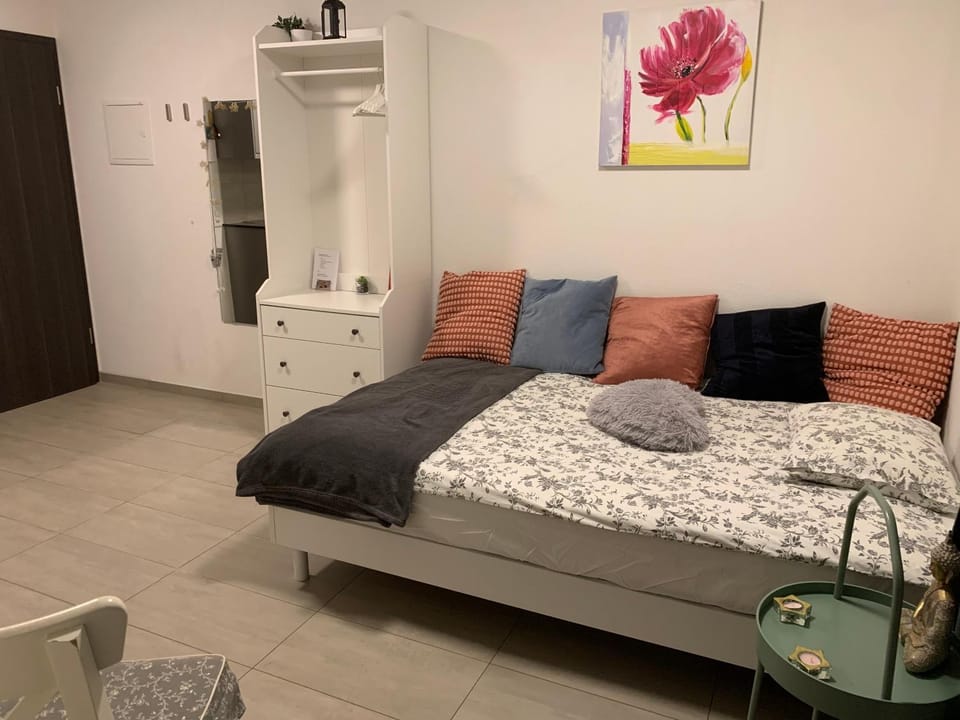 Studio Doux rayon Apartment in Lausanne