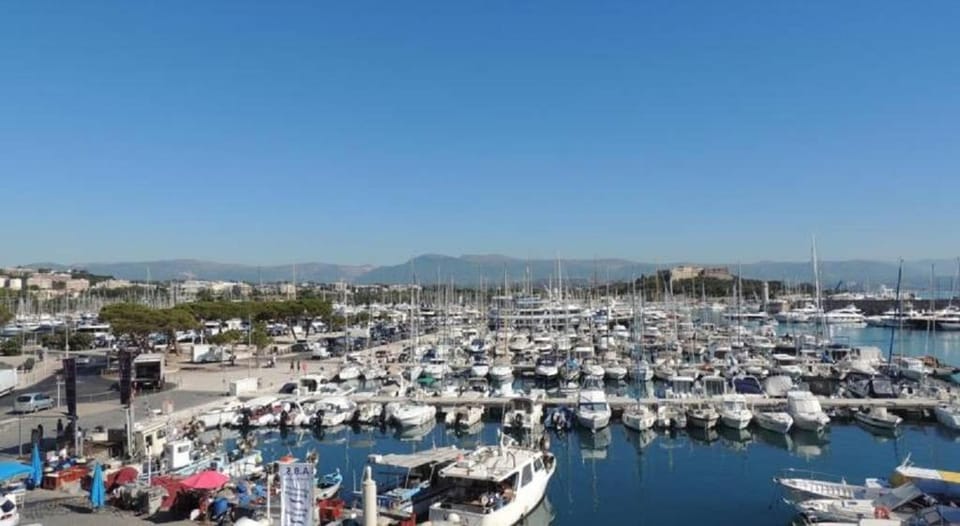 VILLA THETIS 4 pièces Apartment in Antibes