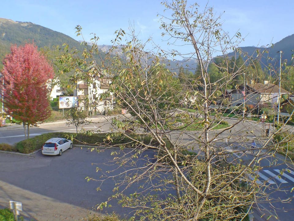Cosy, 3 pièces au centre, animaux admis, parking - FR-1-629-89 Apartment in Samoëns