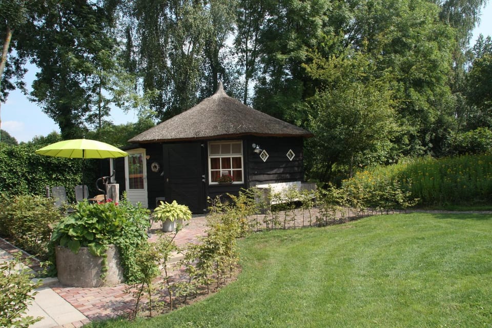 Sauna, Area and facilities