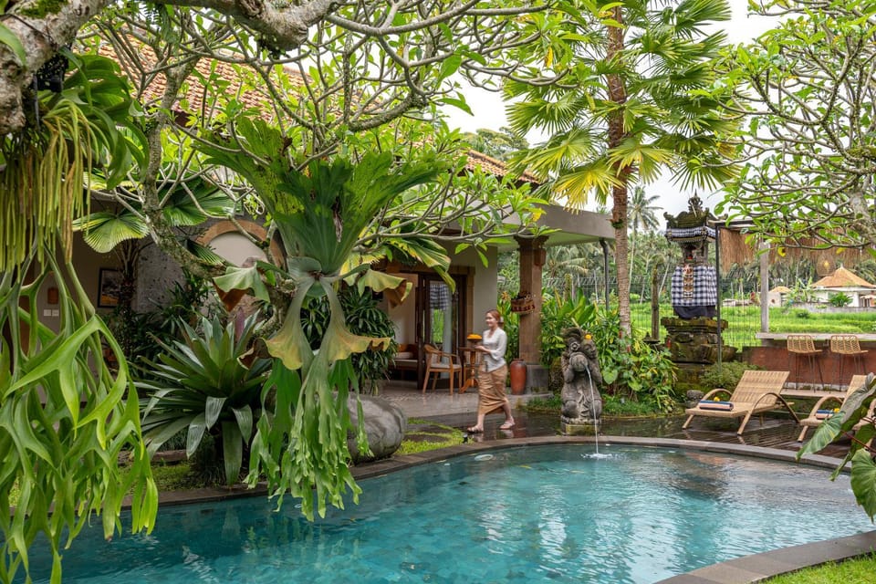 Pool view, Swimming pool