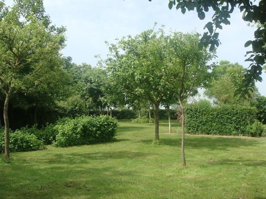Garden, Garden