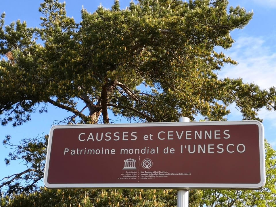 Nearby landmark