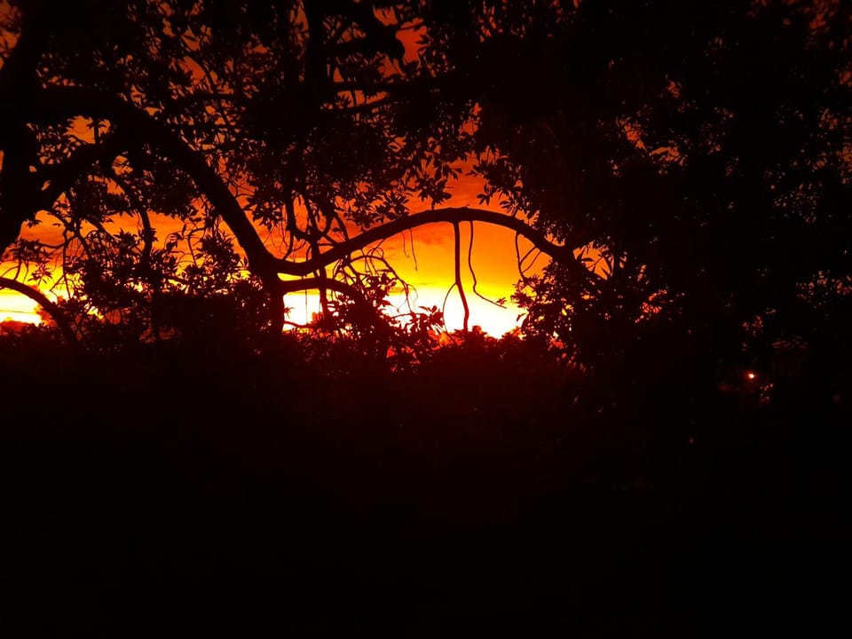 Natural landscape, Sunset