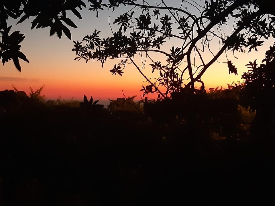 Natural landscape