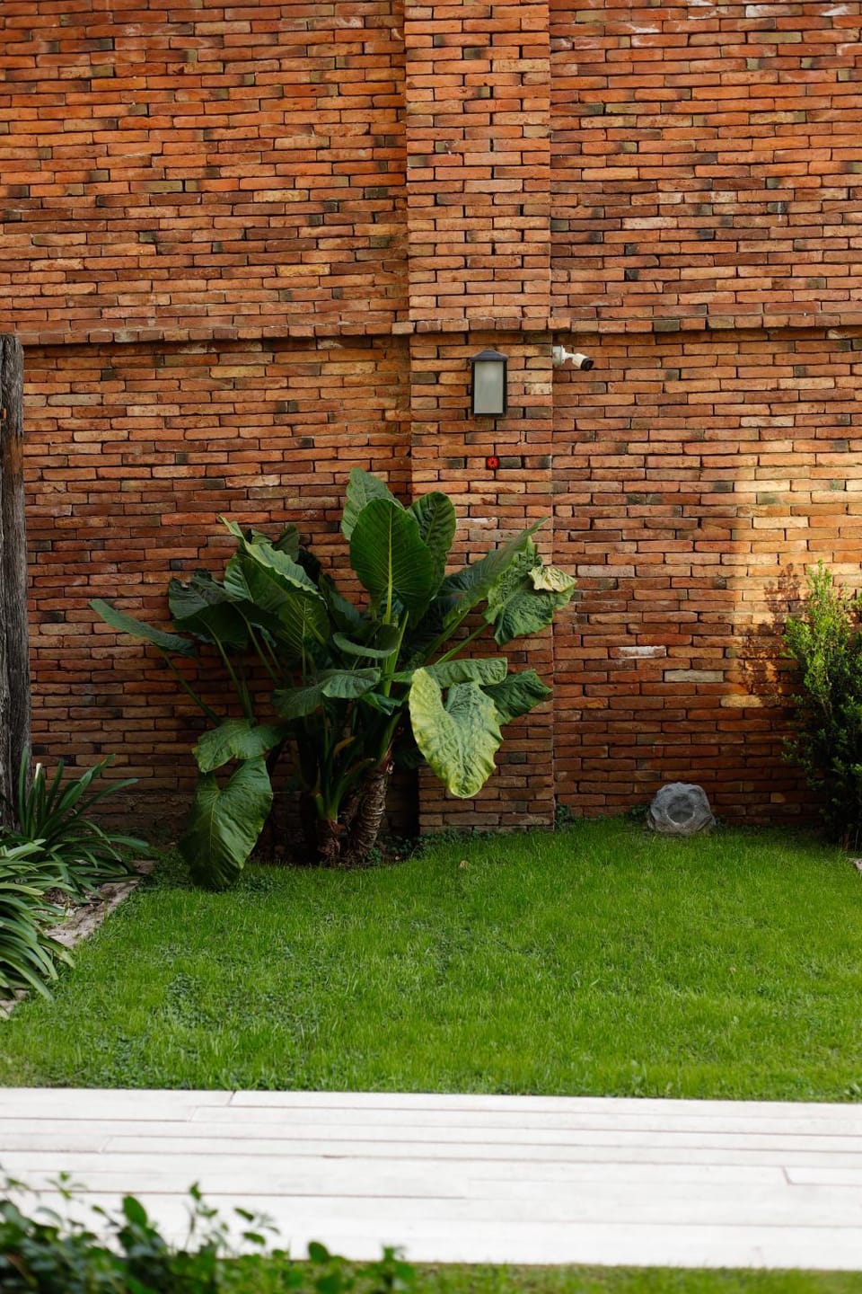 Garden, Garden view, Inner courtyard view