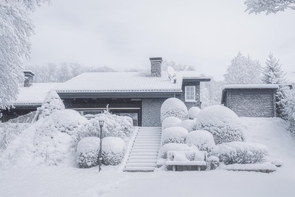 Winter