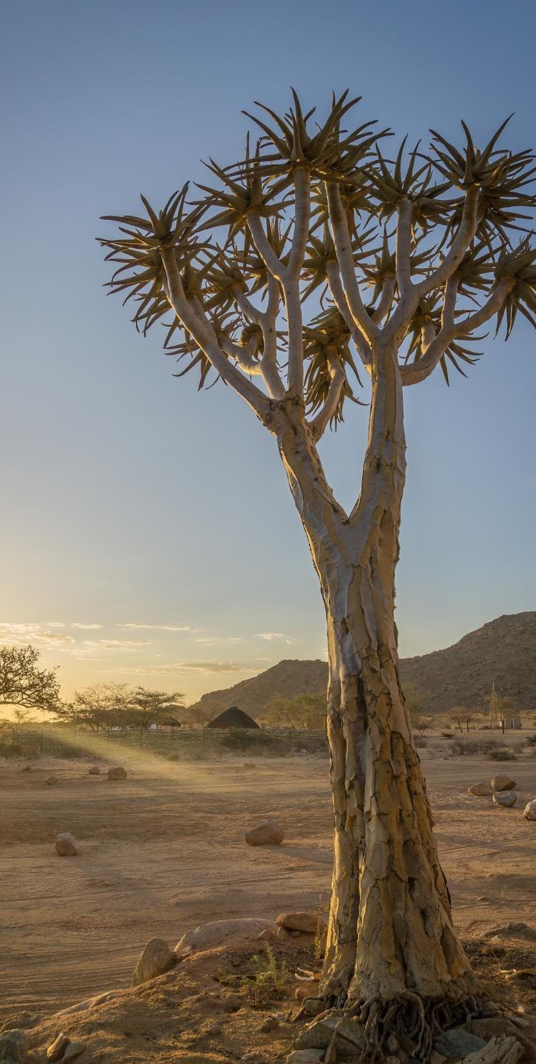 Natural landscape, Garden, Hiking, Sunset