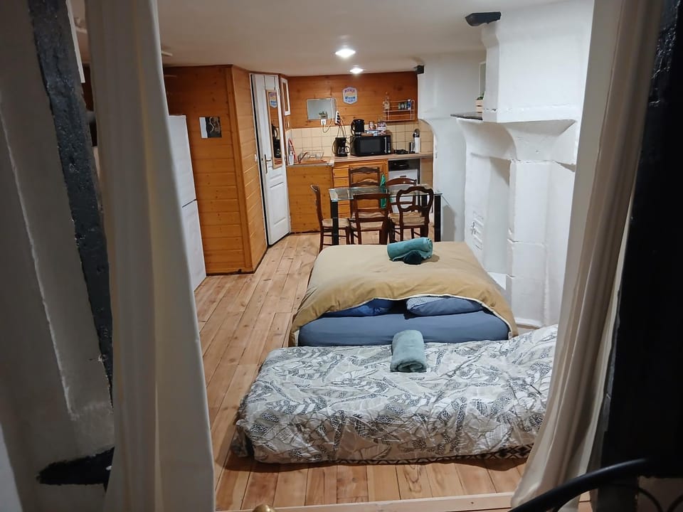 l'HYPERCENTRE Loft Atypique et Historique 5 PERS Cathédrale Bed and Breakfast in Clermont-Ferrand