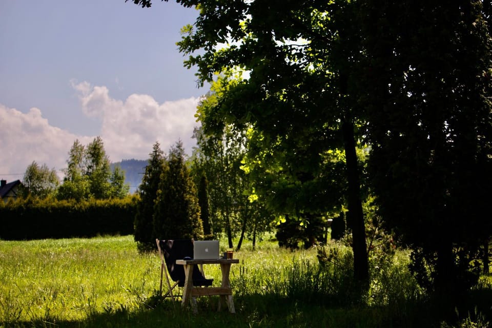 Natural landscape, Summer, Garden, Windsurfing
