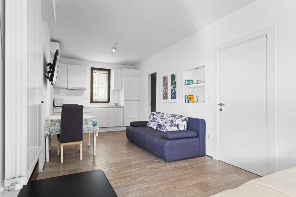 Living room, Seating area, air conditioner