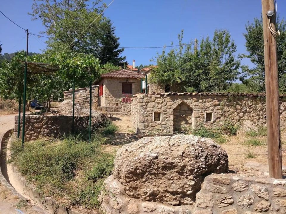 ΦΙΛΥΡΑ ΠΕΤΡΙΝΟ House in Peloponnese Region